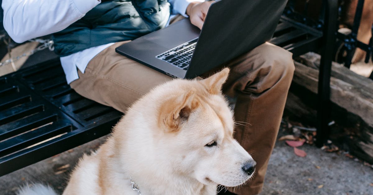 How to Mitigate Risks Effectively in Projects